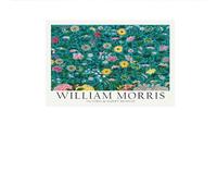 LHHJF LJHFA Affiche de Plante William Morris Œuvre d’Art Murale Fleur Peinture et gravures sur Toile William Morris Tableau de décoration Nordique 40x60cm sans Cadre
