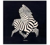 LHHJF LJHFA Affiche de Victor Vasarely Peinture sur Toile zébrée Peinture Murale en Noir et Blanc Victor Vasarely Imprime des Photos de décoration Moderne 60x60cm sans Cadre