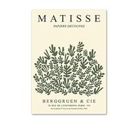 LHHJF LJHFA Affiche Henri Matisse Feuilles de Corail Art Mural Vintage Henri Matisse Peinture sur Toile et Impressions pour la décoration de la Maison Salon Photo 50x70cm sans Cadre