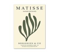 LHHJF LJHFA Affiche Henri Matisse Vintage Feuilles De Corail Art Mural Henri Matisse Peinture sur Toile Et Impressions pour La Décoration De La Maison Salon Photo 40x60cm sans Cadre