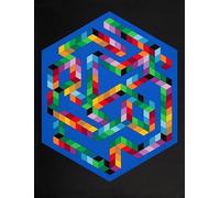 LHHJF LJHFA Affiche Victor Vasarely Art Mural Abstrait Peinture et gravures sur Toile Décoration du Salon de la Maison 40x60cm sans Cadre