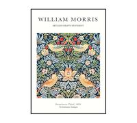 LHHJF LJHFA Affiche William Morris Couleurs Vives Peinture Murale de Plantes Peinture et gravures sur Toile William Morris Décoration Nordique 40x60cm sans Cadre