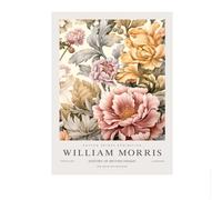 LHHJF LJHFA Affiche William Morris Peinture de Toile Fleurie colorée Art Mural et Impressions de William Morris Décoration Murale Moderne 40x60cm sans Cadre