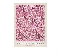 LHHJF LJHFA Affiches abstraites William Morris Feuilles botaniques Art Mural Peinture et gravures sur Toile William Morris Photo de décoration intérieure 50x70cm sans Cadre