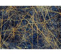 LHHJF LJHFA Célèbre Affiche de Jackson Pollock Graffiti Abstraite Art Mural Peinture et estampes sur Toile Jackson Pollock Tableau de décoration intérieure 50x70cmx1 sans Cadre