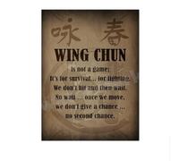 LHHJF LJHFA Chinois Kung Fu Affiche Vintage Wall Art Wing Chun Toile Peinture Et Impressions Maison Moderne Salon Décoration Photo 40x60x1cm sans Cadre
