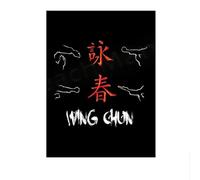 LHHJF LJHFA Chinois Kung Fu Affiche Vintage Wall Art Wing Chun Toile Peinture Et Impressions Maison Moderne Salon Décoration Photo 40x60x1cm sans Cadre