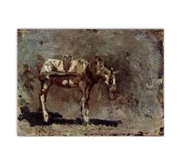 LHHJF LJHFA Classique Pablo Picasso Cubisme Affiche Abstrait Animal Art Mural Pablo Picasso Peinture sur Toile Et Impressions Décoration D’intérieur Photo 50x70cmx1 sans Cadre