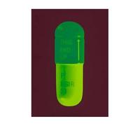 LHHJF LJHFA Damien Hirst Affiche Abstraite Capsule Colorée Peinture Sur Toile Damien Hirst Art Mural Et Impressions Moderne Décoration D’intérieur Photo 50x70cmx1 Sans Cadre