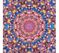 LHHJF LJHFA Damien Hirst Affiche Papillon Toile Art Mural Abstrait Damien Hirst Peinture Et Impressions Salon Moderne Maison Décor Photos 50x50cm Sans Cadre