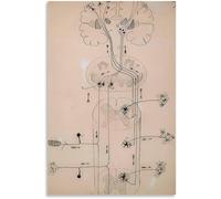 LHHJF LJHFA Dessin Neuron Affiche Santiago Ramon Y Cajal Art Mural Vintage Neurosciences Toile Peinture et estampes Décoration intérieure 40x60cm sans Cadre