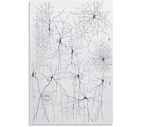LHHJF LJHFA Dessin Neuron Affiche Santiago Ramon Y Cajal Art Mural Vintage Neurosciences Toile Peinture et estampes Décoration intérieure 40x60cm sans Cadre