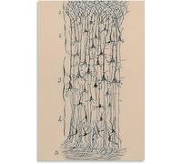 LHHJF LJHFA Dessin Neuron Affiche Santiago Ramon Y Cajal Art Mural Vintage Neurosciences Toile Peinture et estampes Décoration intérieure 40x60cm sans Cadre