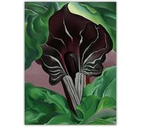 LHHJF LJHFA Georgia O’Keeffe Affiche Abstrait Peinture sur Toile Art Mural Abstrait Georgia O’Keeffe Impressions pour La Maison Salon Décor Photo 40x60cm sans Cadre