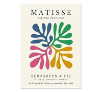 LHHJF LJHFA Henri Matisse Esthétique Affiche Abstrait Feuilles De Corail Art Mural Henri Matisse Toile Peinture Et Impressions pour La Décoration Intérieure Photo 50x70cm sans Cadre