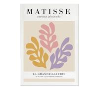 LHHJF LJHFA Henri Matisse Esthétique Affiche Abstrait Feuilles De Corail Art Mural Henri Matisse Toile Peinture Et Impressions pour La Décoration Intérieure Photo 50x70cm sans Cadre
