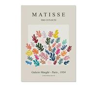 LHHJF LJHFA Henri Matisse Esthétique Affiche Feuille De Corail Colorée Art Mural Henri Matisse Toile Peinture Et Impressions Nordique Décor À La Maison Photo 50x70cm sans Cadre