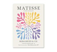 LHHJF LJHFA Henri Matisse Esthétique Affiche Feuilles de Corail Art Mural et Impressions Henri Matisse Toile Peinture Maison Salon Décor Photo 50x70cmx1 sans Cadre