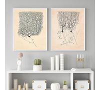 LHHJF LJHFA Neuron Dessin Santiago Ramon Y Cajal Affiche Et Impressions Neuron Dessin Santiago Ramon Y Cajal Peinture sur Toile Art Mural Décor 40x60cmx2 sans Cadre