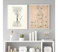 LHHJF LJHFA Neuron Dessin Santiago Ramon Y Cajal Affiche Et Impressions Neuron Dessin Santiago Ramon Y Cajal Peinture sur Toile Art Mural Décor 40x60cmx2 sans Cadre