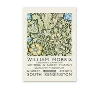 LHHJF LJHFA Rétro William Morris Exposition Affiche Plante Art Mural William Morris Peinture sur Toile Et Impressions Nordique Home Decor Photo 40x60cm sans Cadre