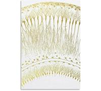 LHHJF LJHFA Santiago Ramon y Cajal Affiche de Dessin Neuron Art Mural Nordique Cerveau Anatomie Toile Peinture et gravures Décoration intérieure 40x60cm sans Cadre