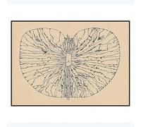 LHHJF LJHFA Santiago Ramon y Cajal Neuron Affiche de Dessin Mural rétro Art Mural Neurosciences Toile Peinture et Estampes Décoration Maison Tableau 40x60cm sans Cadre