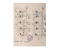 LHHJF LJHFA Santiago Ramon y Cajal Neuron Affiche de Dessin Mural rétro Art Mural Neurosciences Toile Peinture et Estampes Décoration Maison Tableau 40x60cm sans Cadre