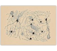 LHHJF LJHFA Santiago Ramon y Cajal Neuron Affiche de Dessin Vintage Mural Neurosciences Peinture et estampes Décoration intérieure 40x60cm sans Cadre