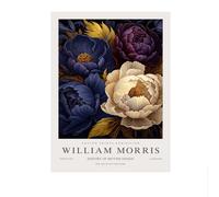 LHHJF LJHFA William Morris Affiche Coloré Fleur Toile Peinture William Morris Nouveau Art Mural Et Impressions Moderne Home Decor Photo Murale 50x70cm sans Cadre