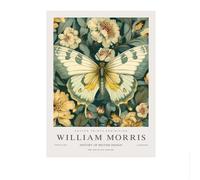 LHHJF LJHFA William Morris Affiches Animal Papillon Plante Toile Peinture William Morris Vintage Art Mural Et Impressions Home Decor Photo 50x70cmx1 sans Cadre