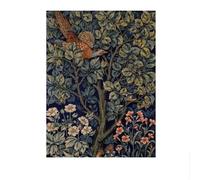 LHHJF LJHFA William Morris Affiches Vintage Animal Plante Toile Peinture William Morris Art Mural Et Impressions Maison Salon Décor Photo 50x70cm sans Cadre