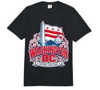 L'histoire de Washington DC VIT Ici : Monuments rétro du Quartier Comfort Colors Adult Heavyweight T-Shirt