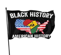 L'histoire des Noirs fait partie de l'histoire américaine. Drapeau du Mois de la Fierté. Panneau de jardin déc