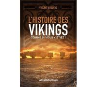 L'histoire Des Vikings Comme Si Vous Y Étiez !