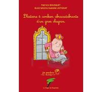 L'histoire Ô Combien Abracadabrante D'un Gros Chagrin | Occasion