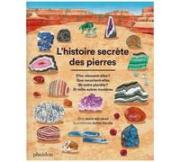 L'histoire Secrète Des Pierre - D'où Viennent-Elles ? Que Racontent-Elles De Notre Planète ? Et Mille Autres Mystères