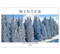 l'hiver. Des paysages enneigés enchanteurs, Version française (Calendrier mural 2026 DIN A3 portrait), Calendrier CALVENDO mensuel