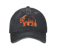 LHJHZDJC Marcher au Centre-Ville de Chicago, Mode Urbaine Chapeau de Camionneur Respirant Design pour Hommes Casquettes de Baseball Hommes