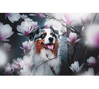 LHJOY activites Maternelle Puzzle 1000 Pieces Chien Berger Australien