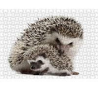 LHJOY Beau Puzzle 1000 piecesDeux Animaux hérissons Cadeau de Vacances Cadeau d'anniversaire 75x50cm