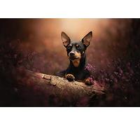LHJOY Puzzle 3D 1000 Pieces Pinscher Nain pour Chien