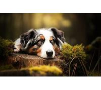 LHJOY Puzzle Impossible Puzzle 1000 Piece Chien Berger Australien
