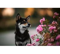 LHJOY Puzzle pour Adulte Puzzle 1000 Pieces Fleur Rose Chien Shiba Inu