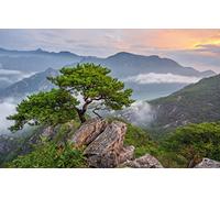 LHJOYSP Puzzle Enfant 1000 Pieces,Beauté des paysages naturels,Brouillard,forêt,Corée du Sud,75x50cm