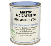 LHOMME-LEFORT-Mastic à Cicatriser 200 g 7,2x7,2x8,5 cm