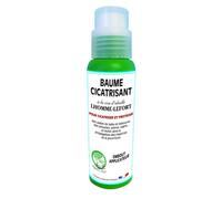 LHOMME-LEFORT-Mastic à cicatriser plaies de taille et autres blessures Lhomme-lefort - 200 g