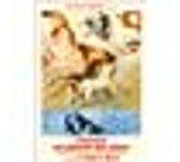 L'Homme qui plantait des arbres E