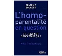 L'homoparentalité En Question - Et L'enfant Dans Tout Ça ?