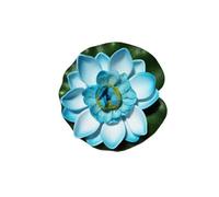 LHSJYG Water Lily Piscine Fleur de Lotus Artificielle Flottante 10/17/28 cm, Micro Paysage for étang, Jardin, Piscine, décoration(Light Blue 10cm)